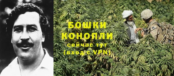гидра Балабаново